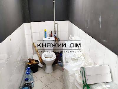 коммерческая по адресу Гетьмана Кирилла Разумовского ул. (Миколи Краснова), 17