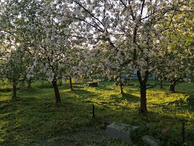 ділянка за адресою Бровари, Запорізька вул., 5