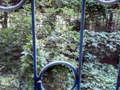 квартира за адресою Театральний бульв., 3