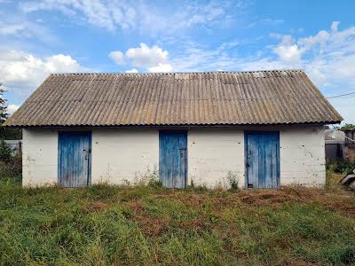 будинок за адресою с. Волошинівка, Космонавтів, 3