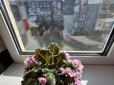 квартира за адресою Мира, 12