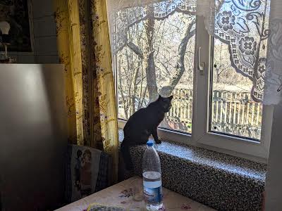 будинок за адресою Бобрицька вул., 36