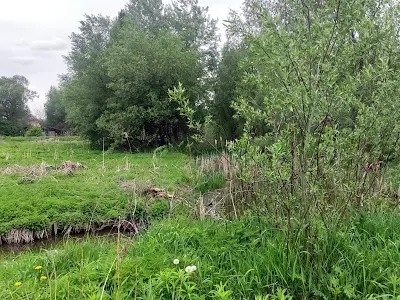 ділянка за адресою с. Горбовичі, 