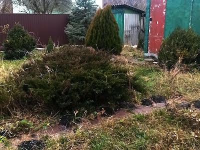 будинок за адресою Ореховая