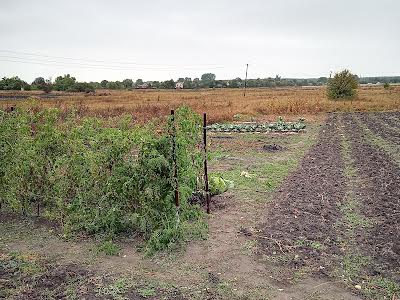 будинок за адресою с. Морозівка, Стадіонна