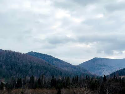 дом по адресу Шевченка, 115
