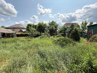 дом по адресу с. Старые Безрадичи, горохова, 1