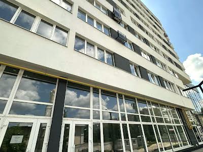 комерційна за адресою Володимира Великого вул., 10