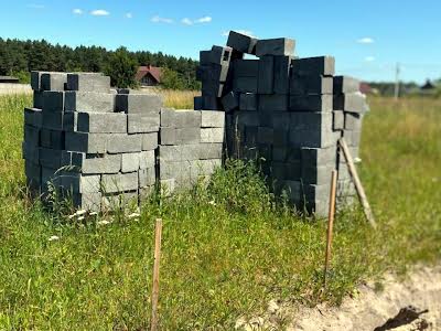 будинок за адресою Роксоляни