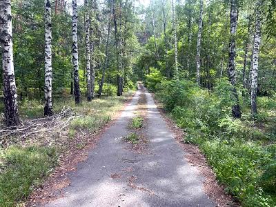 участок по адресу с. Лютеж, Лісовий масив, 31