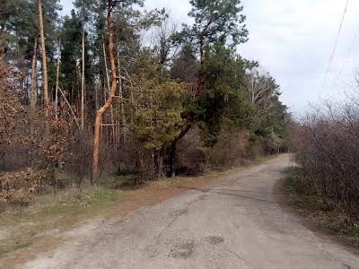 дом по адресу Дмитрівська, 3