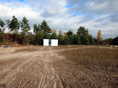 будинок за адресою с. Старі Петрівці, Лісова