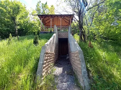 дом по адресу Ходосіївські сади