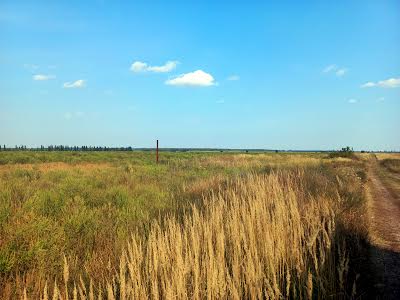 ділянка за адресою Село Щасливе