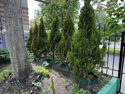 квартира за адресою Олександра Поля просп. (Кірова), 91