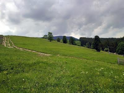 ділянка за адресою с. Кривопілля, коротеньке