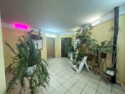 квартира по адресу Бакинская ул., 37-Г