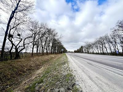 комерційна за адресою Шевченка, 8