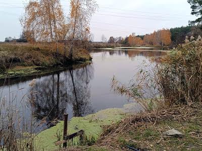 ділянка за адресою Шевченка