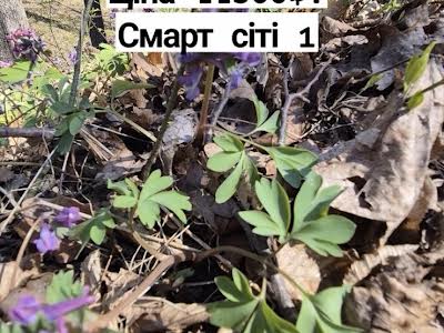 квартира за адресою Проспект Миру, 5
