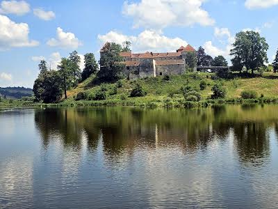 дом по адресу с. Свирж, Центральна, 22