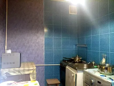 квартира по адресу Юбилейный просп. (50-летия ВЛКСМ), 44а