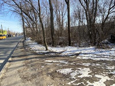 ділянка за адресою Панікахи вул.
