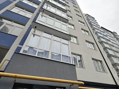 комерційна за адресою Височана вул., 18