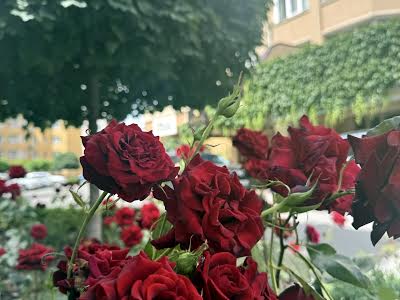квартира по адресу Боголюбова ул., 14