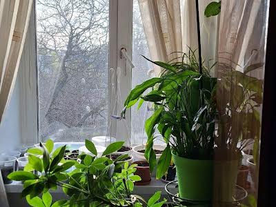 квартира по адресу Люстдорфская дорога ул., 58