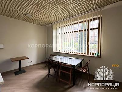 комерційна за адресою Жупанатська, 1