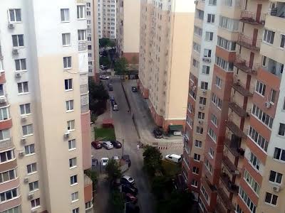 квартира за адресою Райдужний масив вул., 11