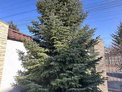 будинок за адресою Центральна вул.