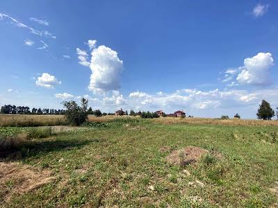 участок по адресу с. Михайловка-Рубежовка, Каштанова