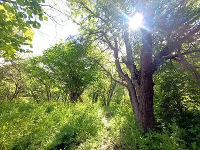 дом по адресу Ходосіївські сади