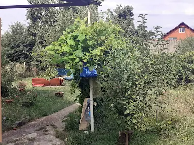 дом по адресу Самаровка