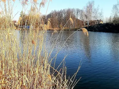 дом по адресу Ожинова, 78