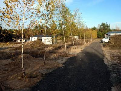 дом по адресу с. Старые петровцы, Лісова