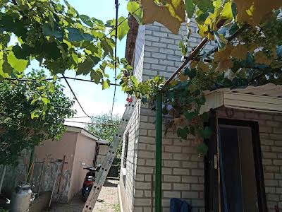 будинок за адресою Олександра Кошиця вул., 15