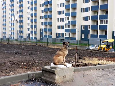 квартира за адресою Перемоги просп., 86А