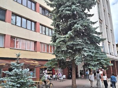 комерційна за адресою Січових Стрільців вул., 13