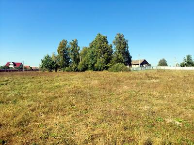 ділянка за адресою с. Буки, Лесі Українки