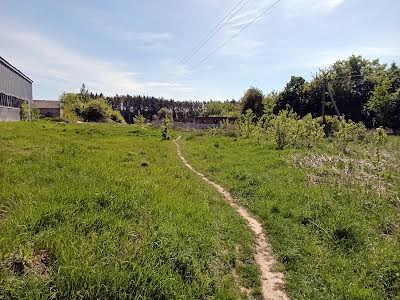 коммерческая по адресу пгт. Клевань, Вул. Центральна, 7