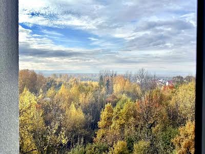 квартира за адресою Виноградна вул., 180