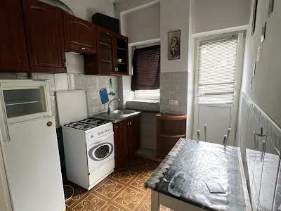квартира за адресою Амвросія Метлинського вул., 5