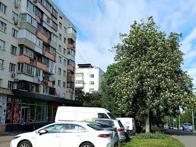 квартира за адресою Голосіївський просп. (40-річчя Жовтня), 114