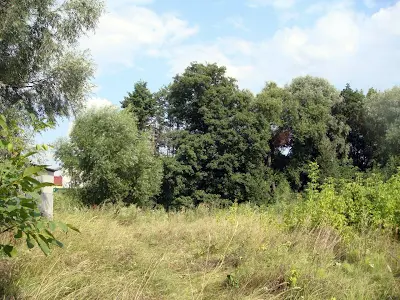 ділянка за адресою Гідності вул. (Жертв Революції), 62в