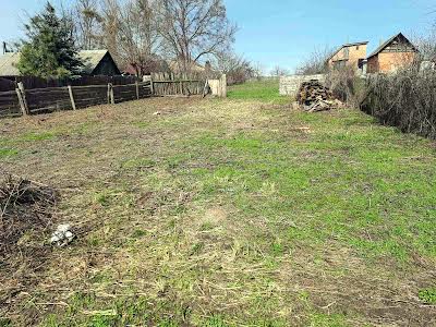 будинок за адресою с. Литвинівка, Шевченка