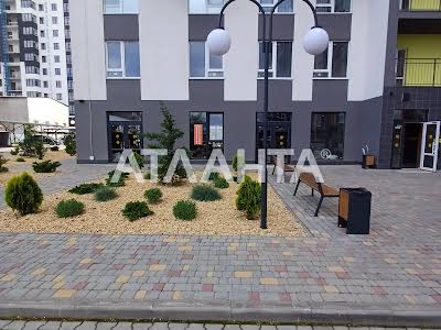 квартира за адресою с. Лиманка, Академіка Вільямса вул., 93