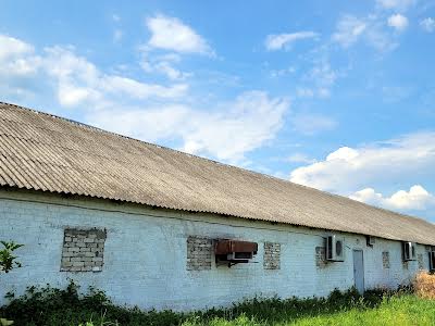 коммерческая по адресу с. Кустин, Шевченка, 100